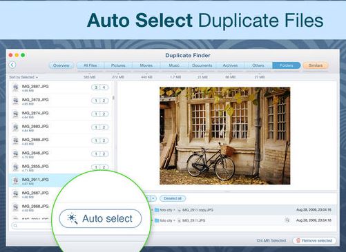 Duplicate File Finder Pro – Software find and remove duplicate files - imager from internet