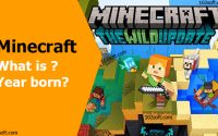 What is Minecraft What year was Minecraft game born