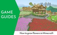 How to grow flowers in Minecraft 2022