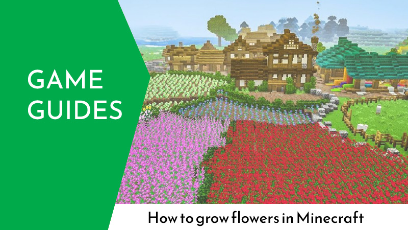 How to grow flowers in Minecraft 2022